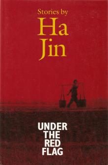 Cover image for Under the Red Flag