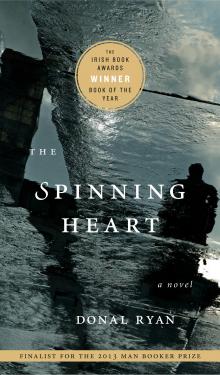 Cover image for The Spinning Heart
